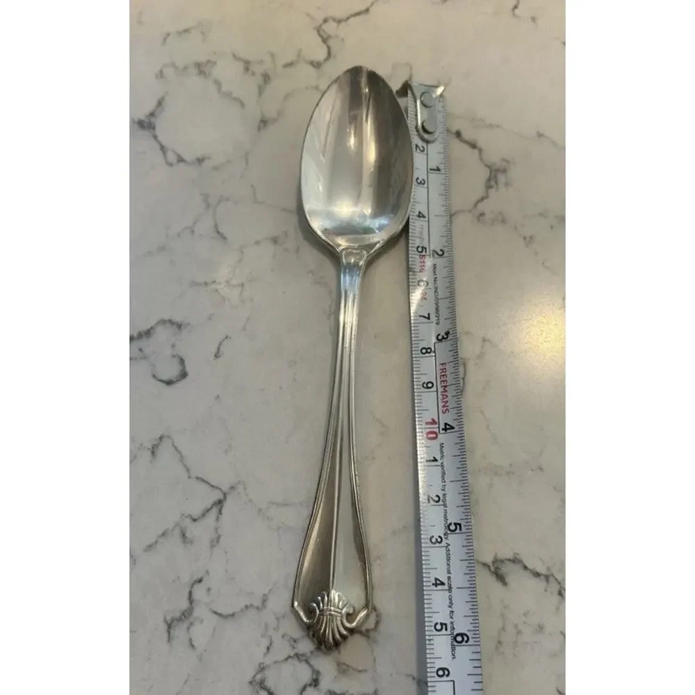 Oneida Silver oneida 1881